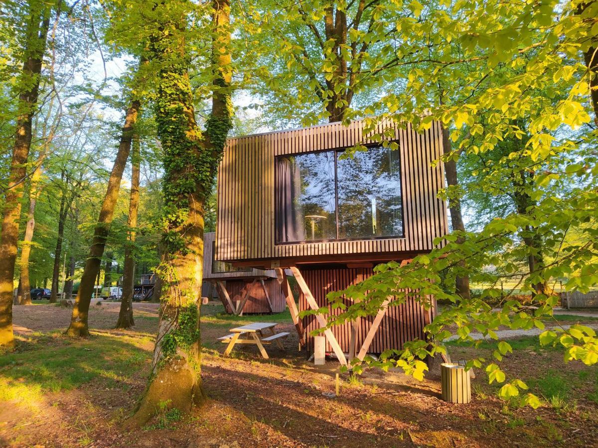 L'étape en forêt Villa Saint-Sever-Calvados Exterior foto