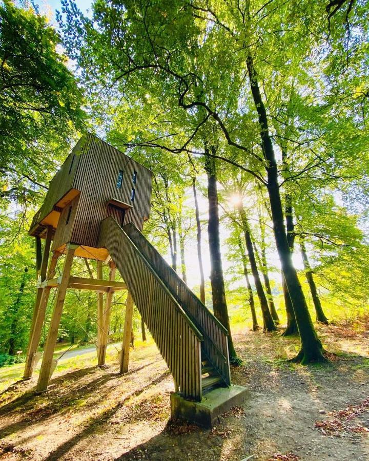 L'étape en forêt Villa Saint-Sever-Calvados Exterior foto