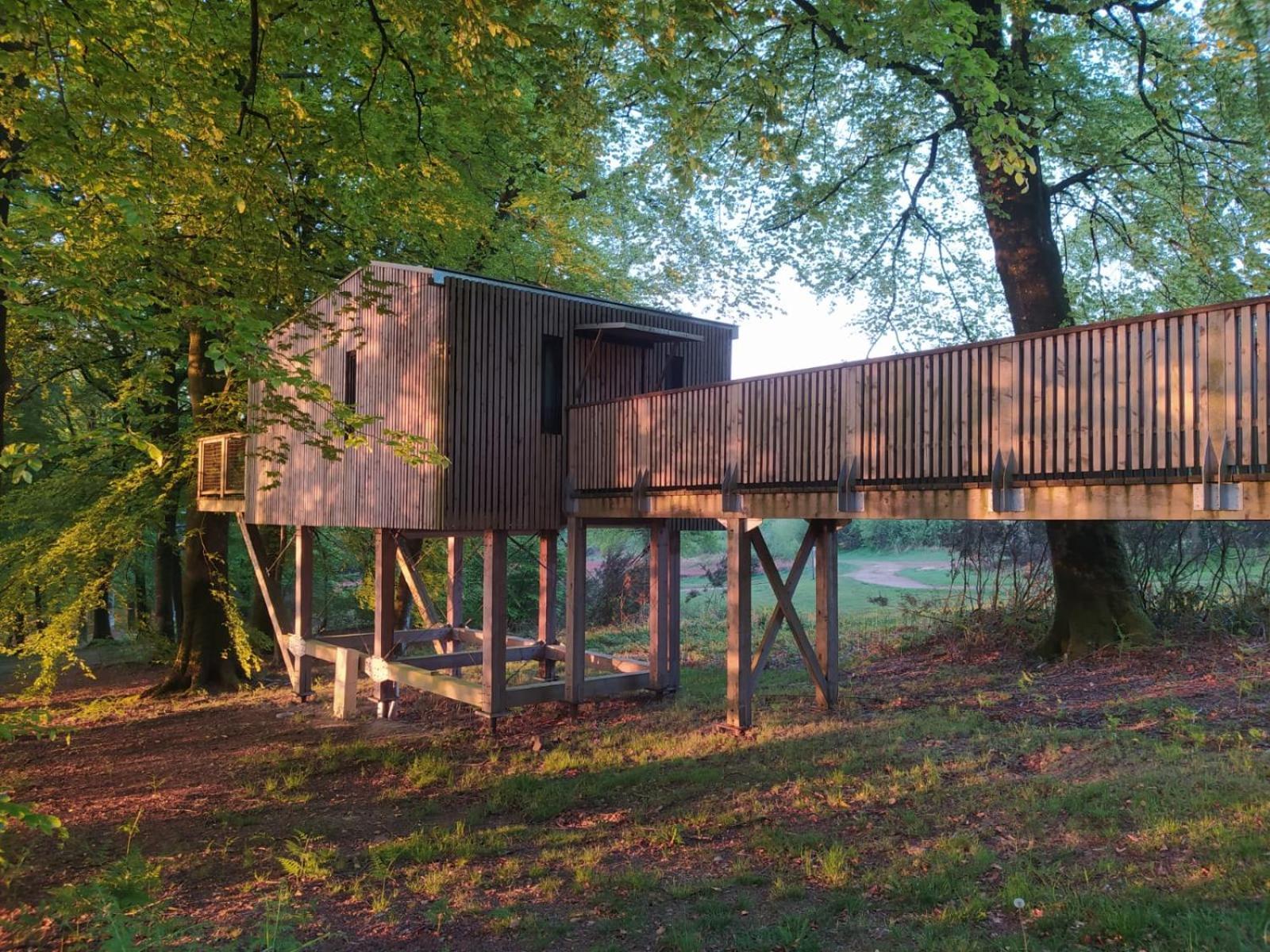 L'étape en forêt Villa Saint-Sever-Calvados Exterior foto