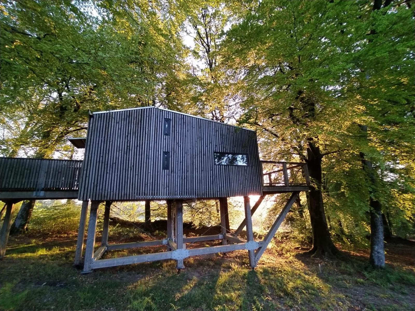 L'étape en forêt Villa Saint-Sever-Calvados Exterior foto