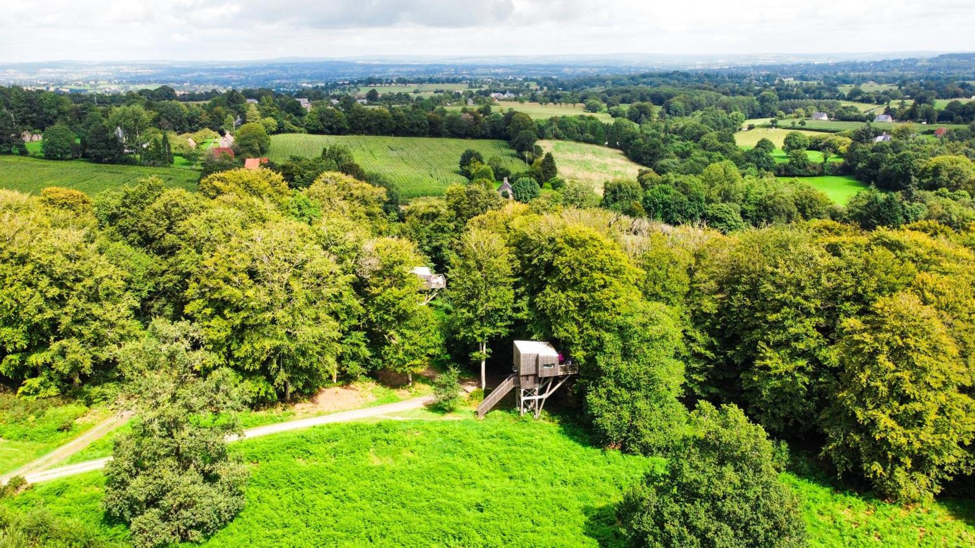 L'étape en forêt Villa Saint-Sever-Calvados Exterior foto