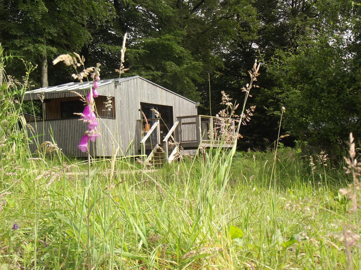 L'étape en forêt Villa Saint-Sever-Calvados Exterior foto