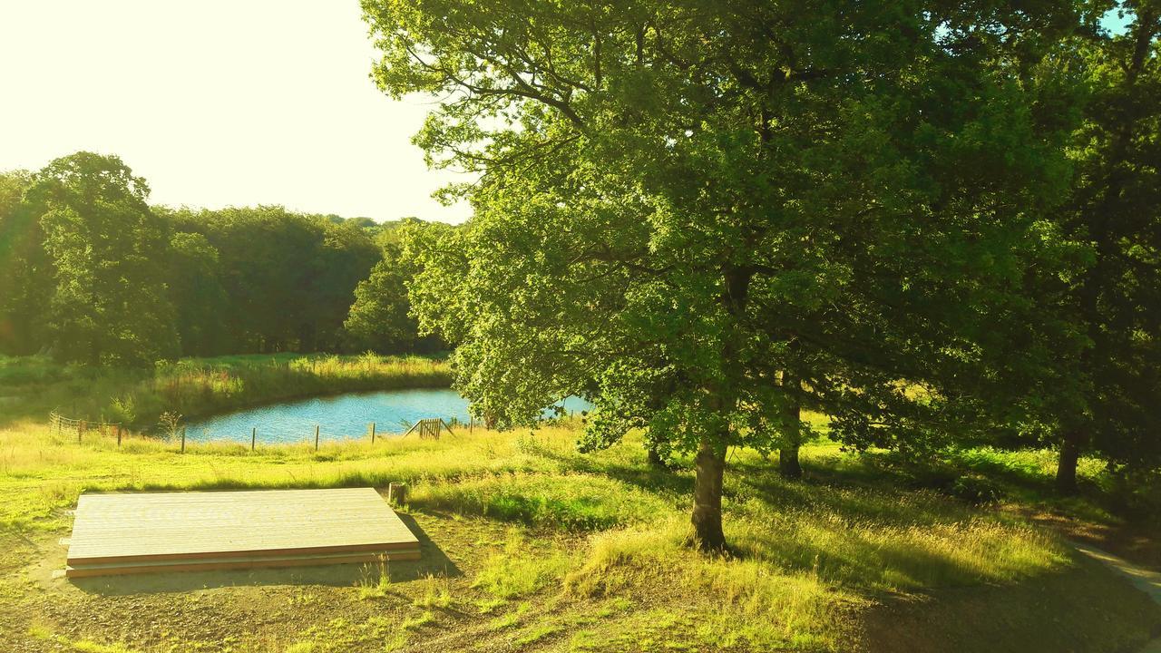 L'étape en forêt Villa Saint-Sever-Calvados Exterior foto