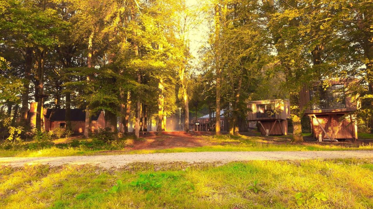 L'étape en forêt Villa Saint-Sever-Calvados Exterior foto